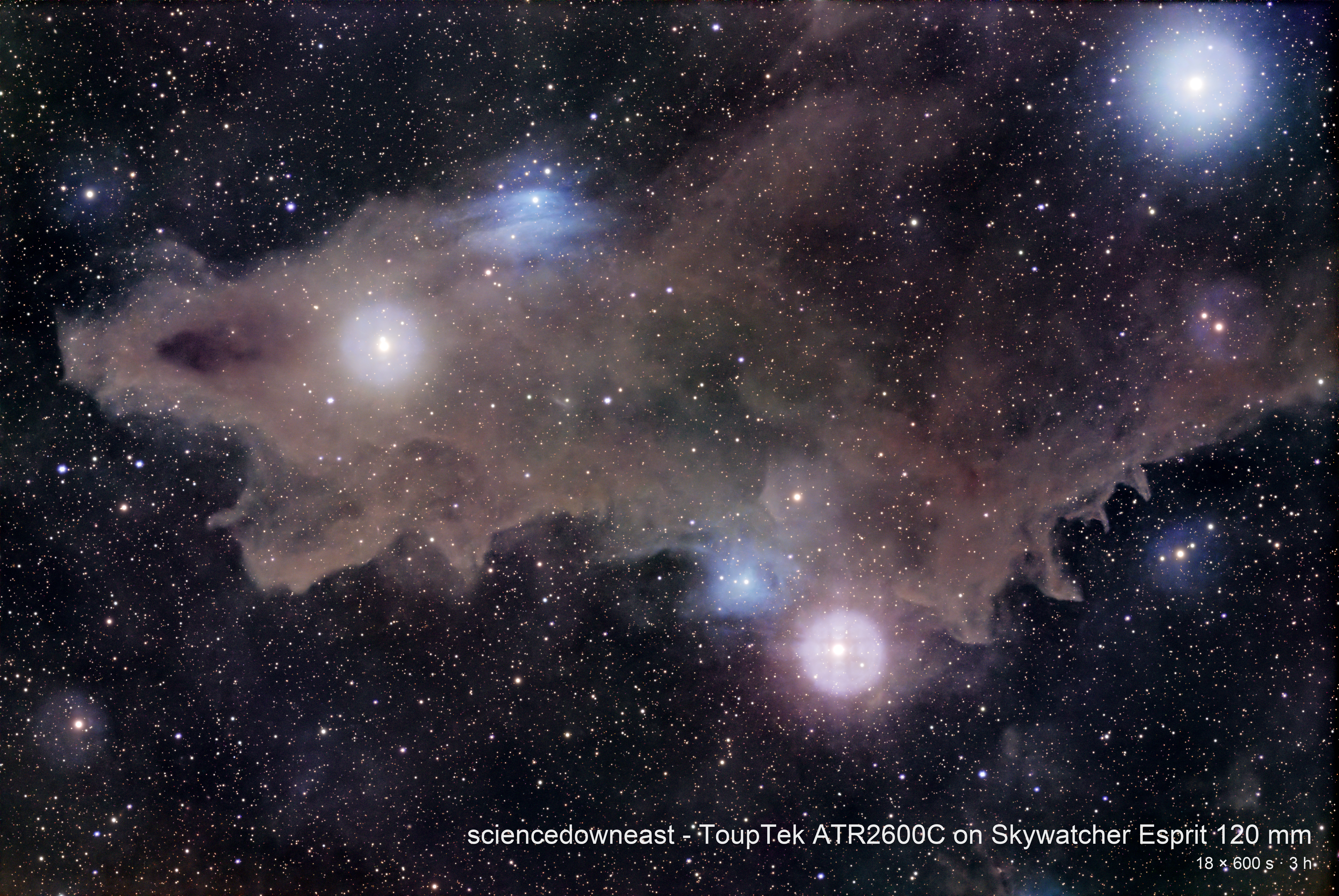 LDN 1235 (Shark Nebula)